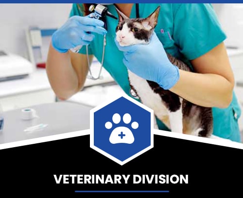 Produk 2 Veterinary Division-min