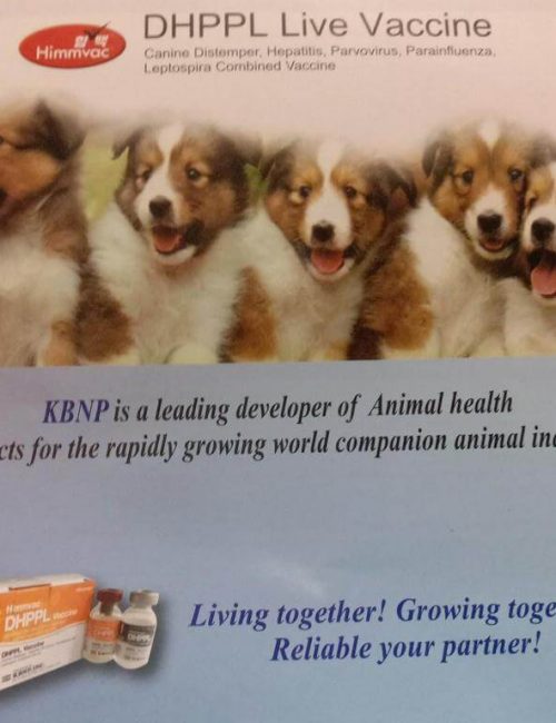 dhppl live vaccine